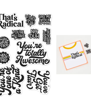 Hero Arts - Collezione Friends with Flair - Totally Awesome Stamp Set