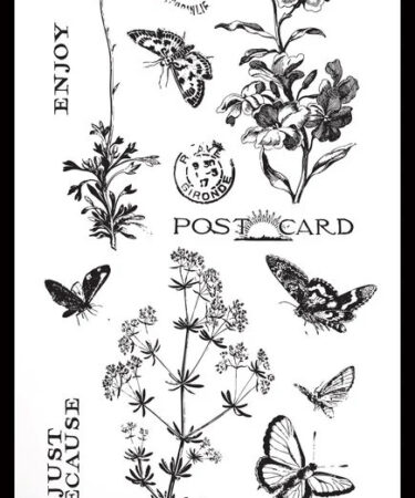 Arden Creative Studio - Collezione  Maker Series 4x8 Inch Clear Stamp Set Field Notes Meadow