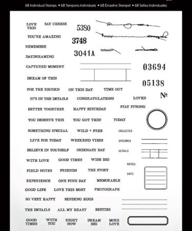 Arden Creative Studio - Collezione  Maker Series 6x8 Inch Clear Stamp Set Everyday Notes