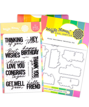 WAFFLE FLOWER - Mixed Sentiments Combo