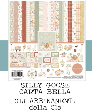 IL NEGOZIO DELLA MAMMA DI CLE -ABBINAMENTI COLLEZIONE SILLY GOOSE - CARTA BELLA