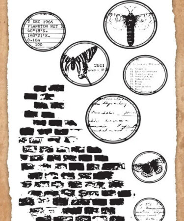 TEXT(ures) - Collezione Beneath the Brambles 4x8 Inch Clear Stamp Set Background Elements