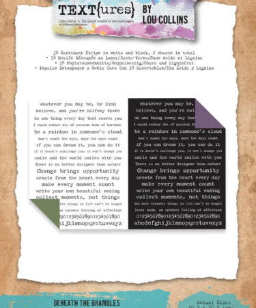 TEXT(ures)- Collezione Beneath the Brambles Laser Cut Sentiment Pack (19pcs)