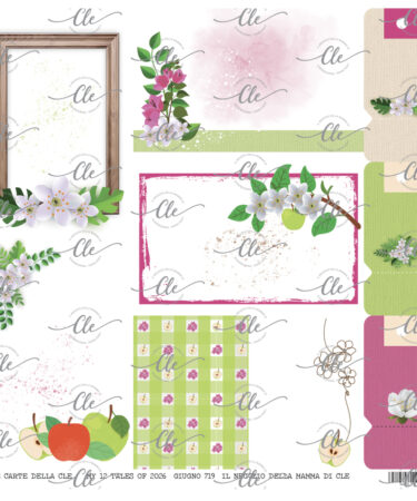 IL NEGOZIO DELLA MAMMA DI CLE - LE CARTE DELLA CLE - MY 12 TALES OF  2026 - GIUGNO - NUM. 719