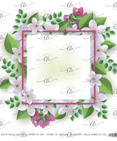 LE CARTE DELLA CLE – MY 12 TALES OF  2026 - GIUGNO-  ACETATO NUM 721