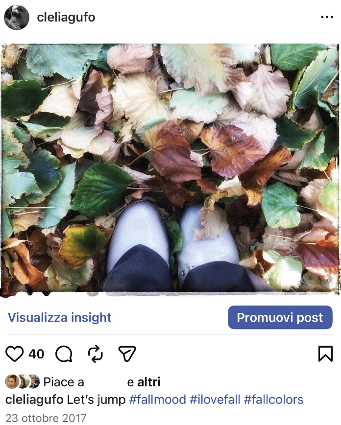 L'immagine è una fotografia in cui si vedono foglie cadute, autunnali, di vari colori: verde scuro, marrone, beige. Molte di queste sono un po' accartocciate. In mezzo alle foglie si vede la punta di due piedi, che indossano degli stivali da pioggia di gomma di colore azzurro e si vede il bordo dei pantaloni che poggia sullo stivale.