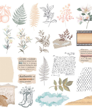 Rosie's Studio Clementine Diecut Clear Stickers