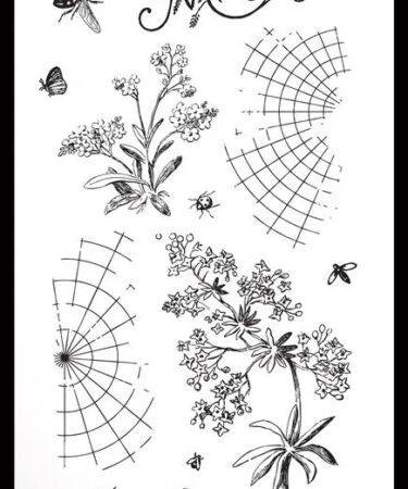 Arden Creative Studio Maker Series 4x8 Inch Clear Stamp Set My Flowers by Katie Pertiet