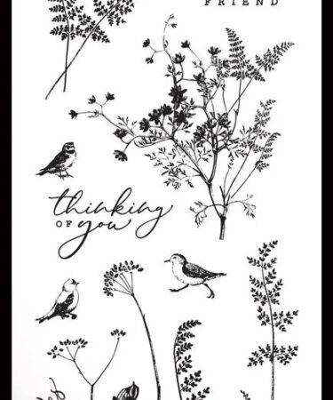 Arden Creative Studio Maker Series 4x8 Inch Clear Stamp Set Fine Ferns by Katie Pertiet